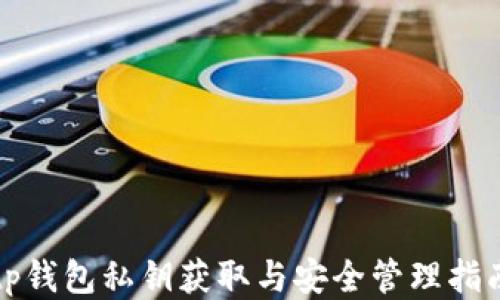 
tp钱包私钥获取与安全管理指南