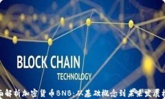 全面解析加密货币BNB：从基础概念到未来发展机