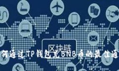 如何通过TP钱包充BNB币的最佳通道
