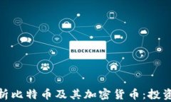 全面解析比特币及其加密货币：投资与风险