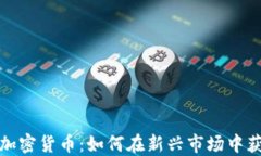 时尚投资加密货币：如何在新兴市场中获得高回