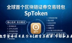 加密数字货币项目是什么