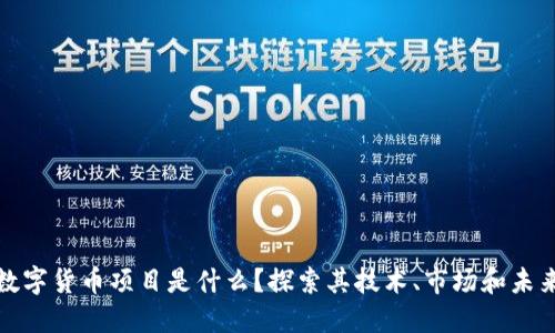 加密数字货币项目是什么？探索其技术、市场和未来发展