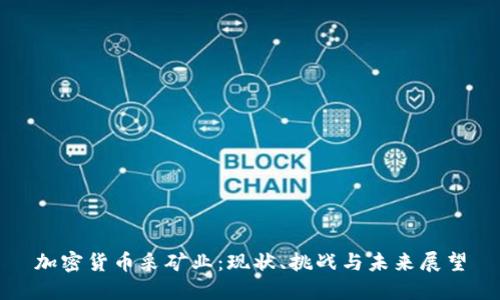加密货币采矿业：现状、挑战与未来展望