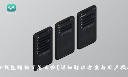 TP钱包转错了怎么办？详细解决方案与用户指南