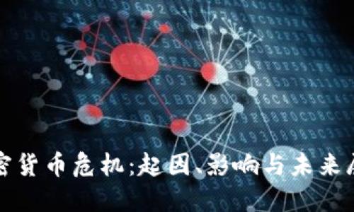 加密货币危机：起因、影响与未来展望